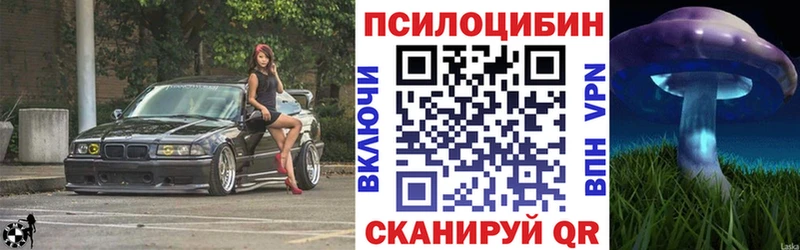 Галлюциногенные грибы Cubensis  blacksprut как войти  Заволжск  где найти  